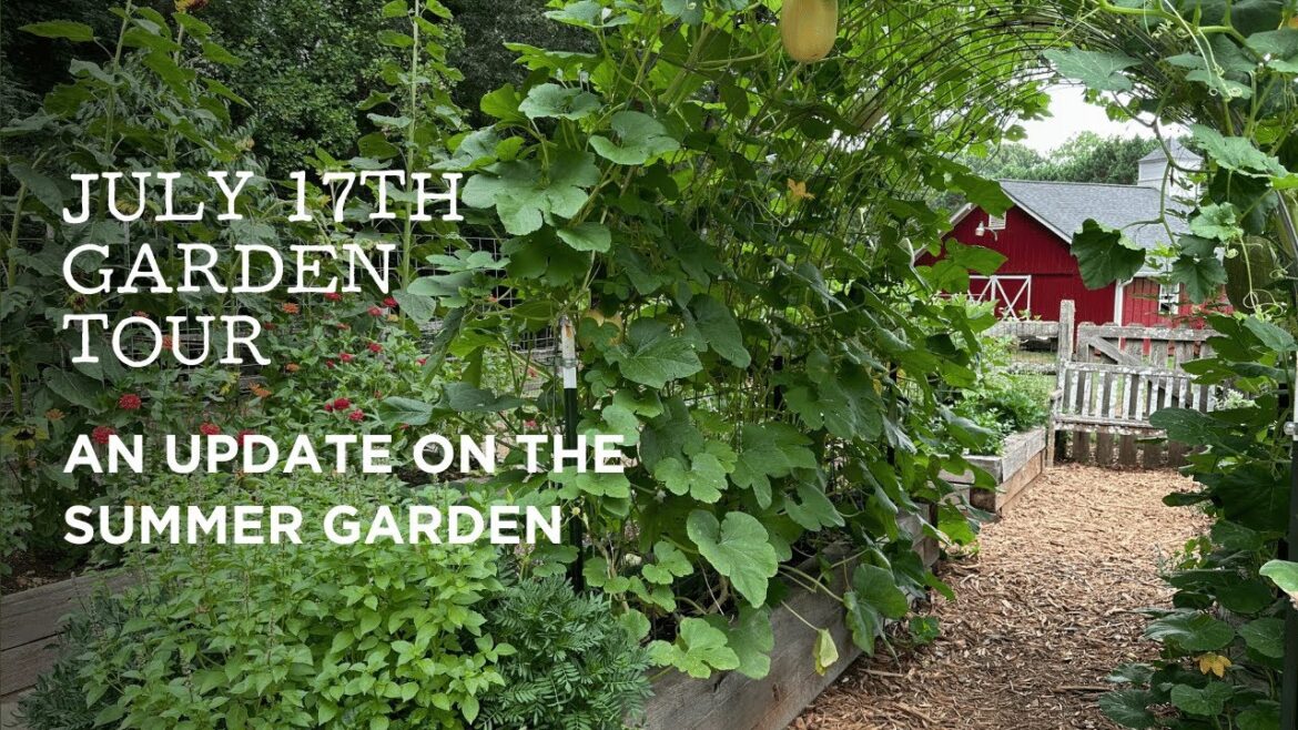 July Garden Walk-Through: Managing Tomatoes & Tackling Pickle Worms