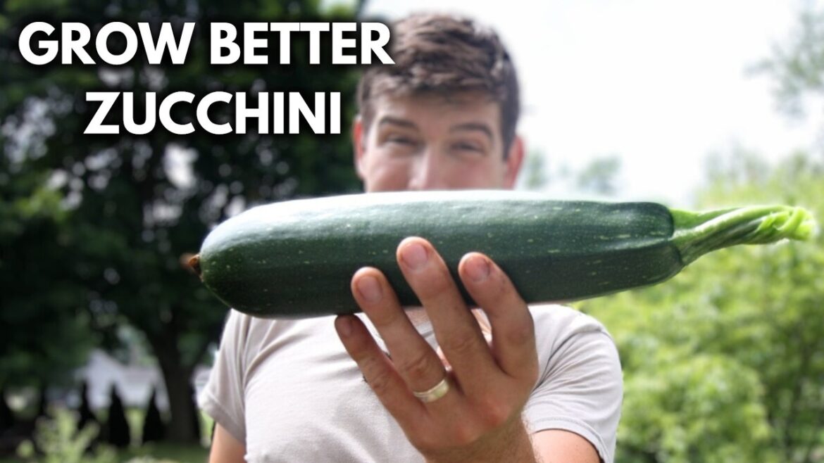 Top 3 Ways To PREVENT Blossom End Rot on ZUCCHINI