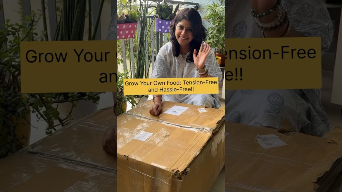 Grow your own food💚 #home #balcony #hydroponics #plants #yt #kitchengarden #gardening #garden Grow your own food💚 #home #balcony #hydroponics #plants #yt #kitchengarden #gardening #garden