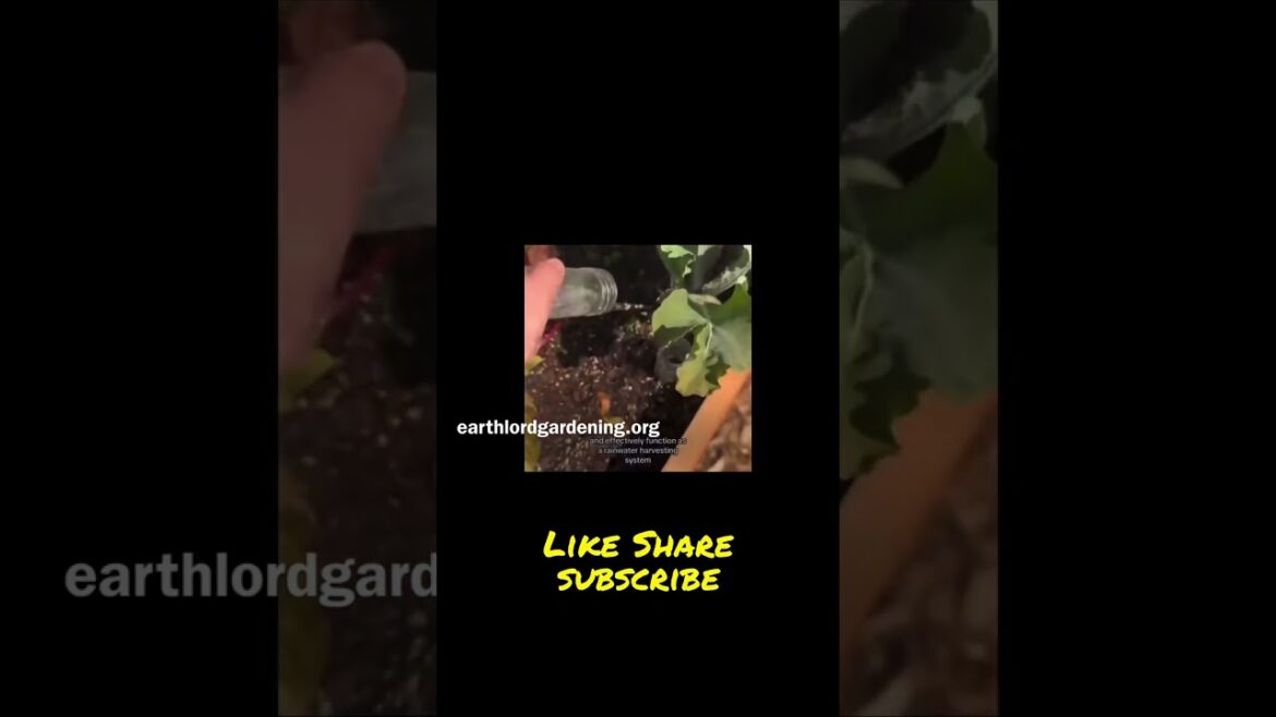 Save Your Back Gardening With These #gardeningtips #garden  #grownaturally