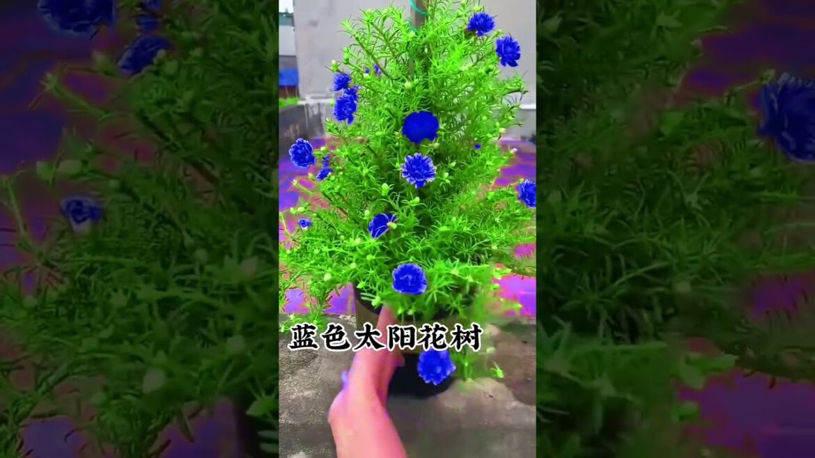 Unique gardening ideas, #gradening #shorts #plants