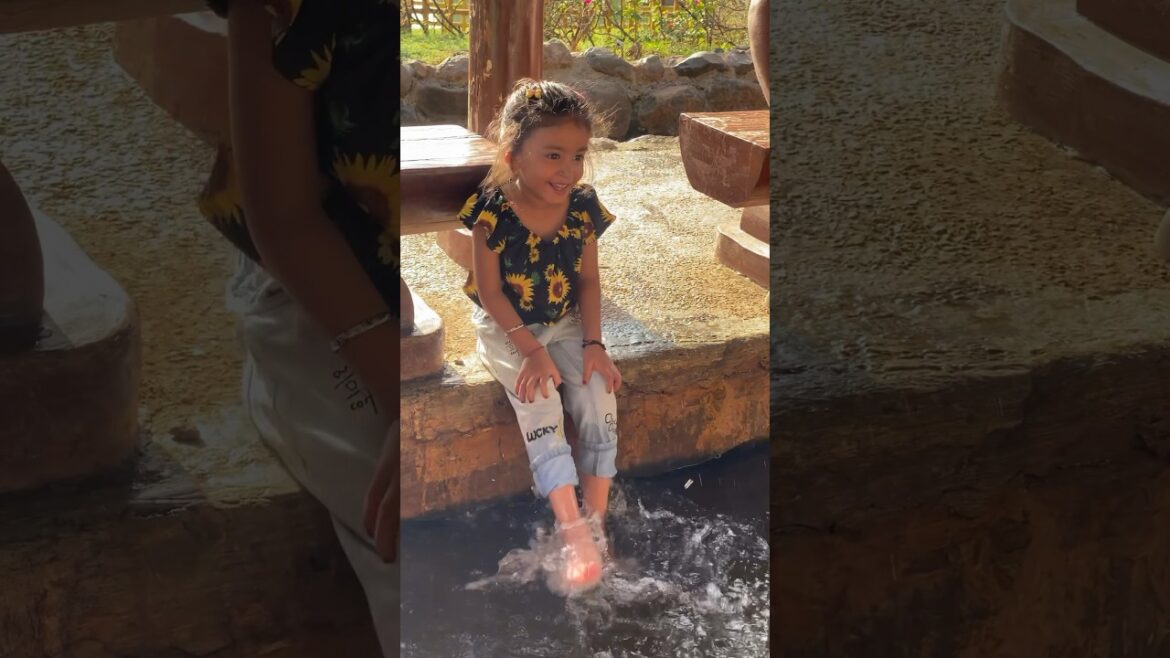 Friday Fun at the Garden #shorts #garden Friday Fun at the Garden #shorts #garden