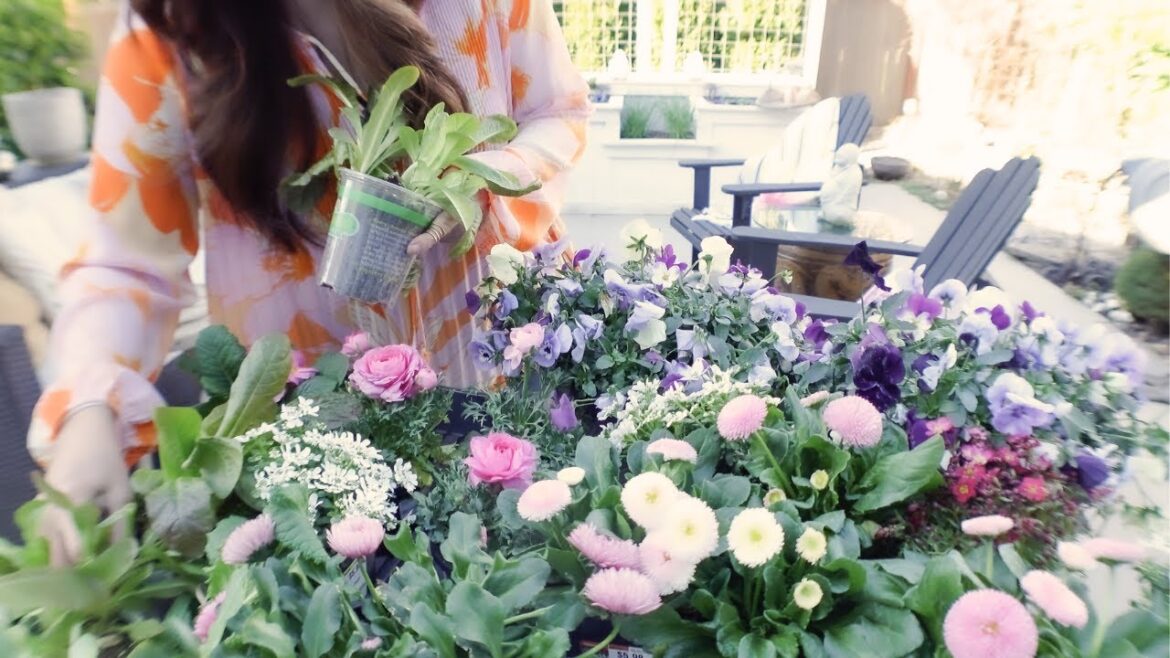 2024 Spring Cozy CONTAINER GARDENING| Suburban garden 2024 Spring Cozy CONTAINER GARDENING| Suburban garden