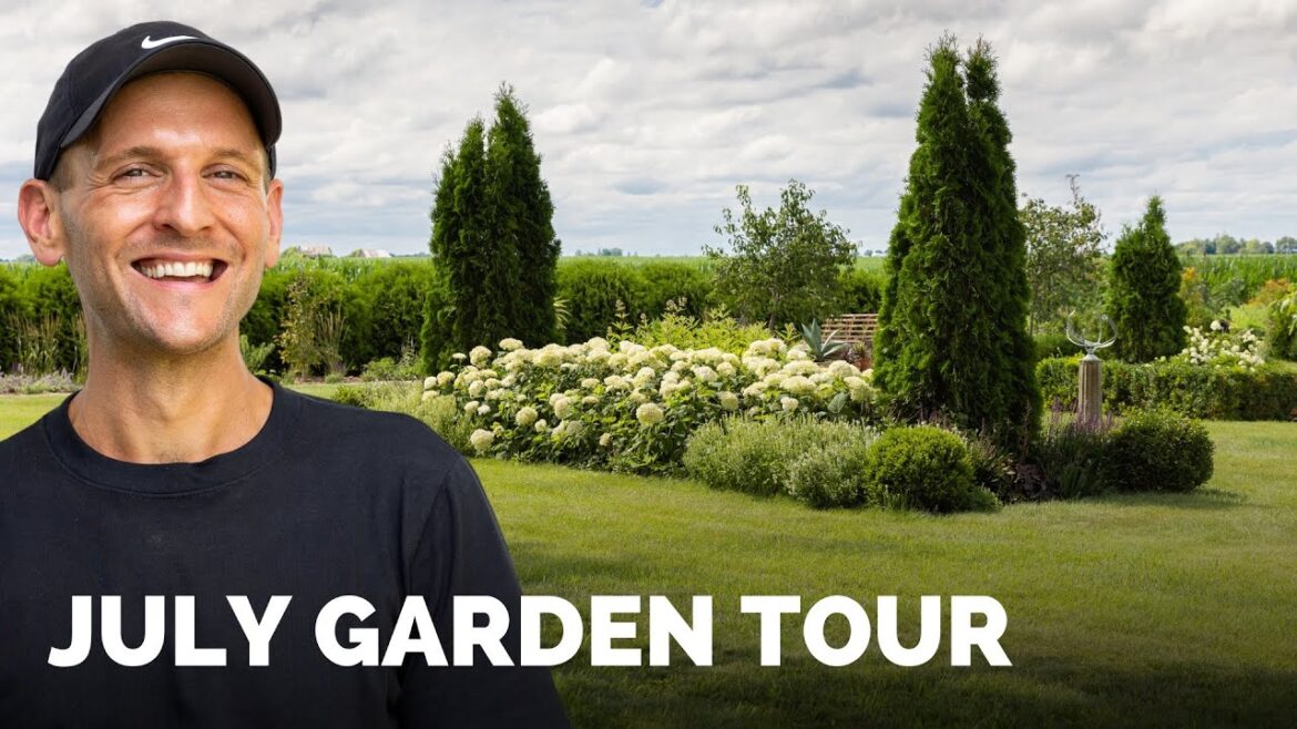 July 2024 Garden Tour | Gardening with Wyse Guide July 2024 Garden Tour | Gardening with Wyse Guide