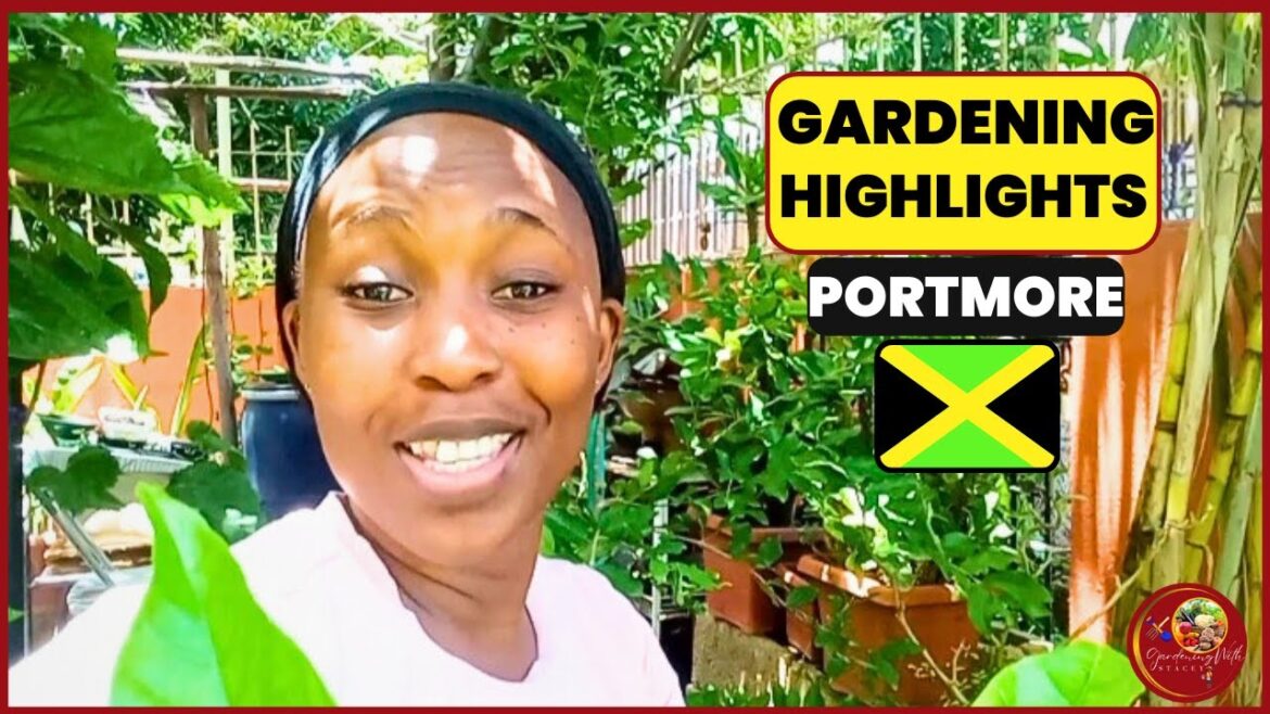 Gardening Highlights In My Small Space Oasis Gardening Highlights In My Small Space Oasis