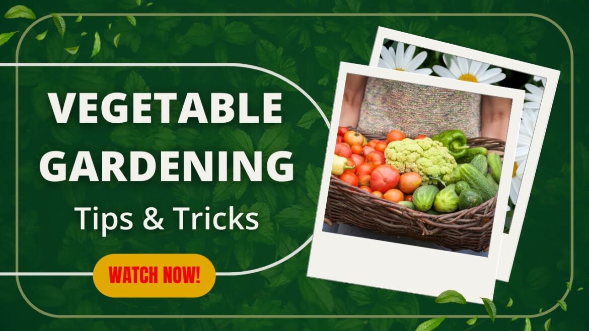 Vegetable Gardening Tips & Tricks #vegetablegarden Vegetable Gardening Tips & Tricks #vegetablegarden
