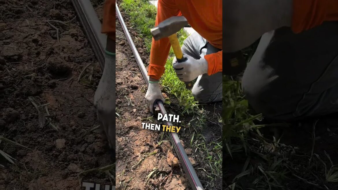 Landscapers Crew Installs 60-Foot Pathway 🤗 🙌