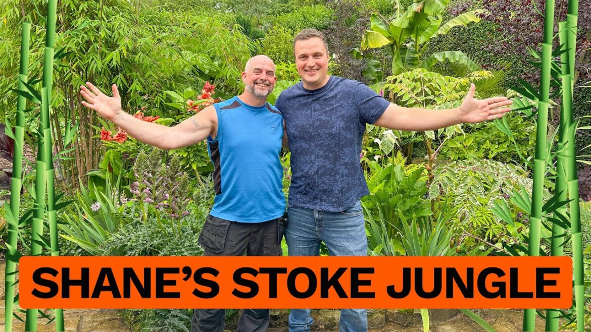 A Jungle Stream Garden Transformation & Growing Hardy Exotics with Shane Bilson