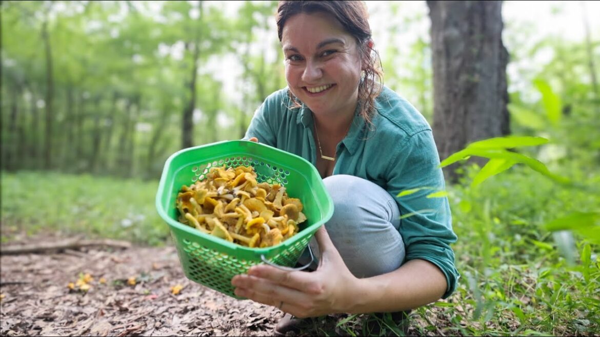 Roots and Refuge Farm: Hunting Mushies (Foraging in the SC Summer) | VLOG Hunting Mushies (Foraging in the SC Summer) | VLOG