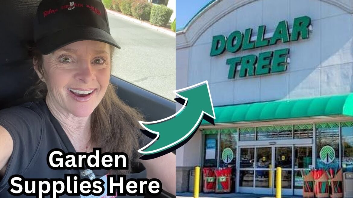 Dollar Tree Garden  - Lets See What's Inside!