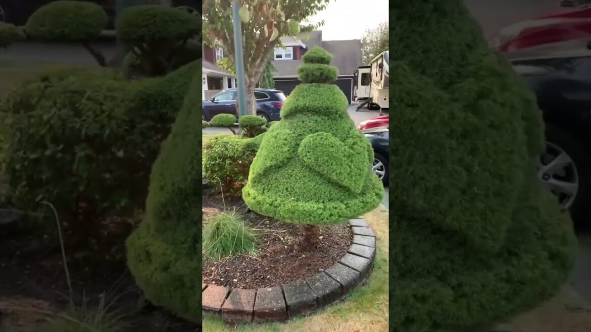 Quick Yard Cleanup 30 #YardCleanUp #LawnCare #LawnMaintenance #GardeningTips #TrimmingTips