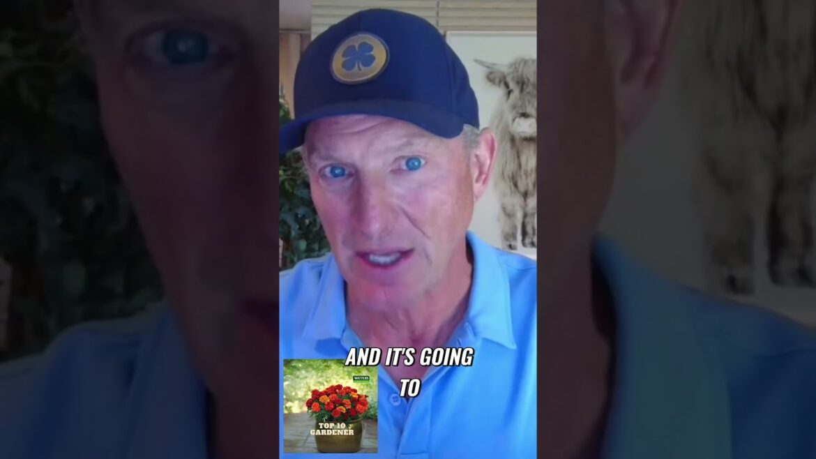 How to Properly Water Your Container Garden How to Properly Water Your Container Garden