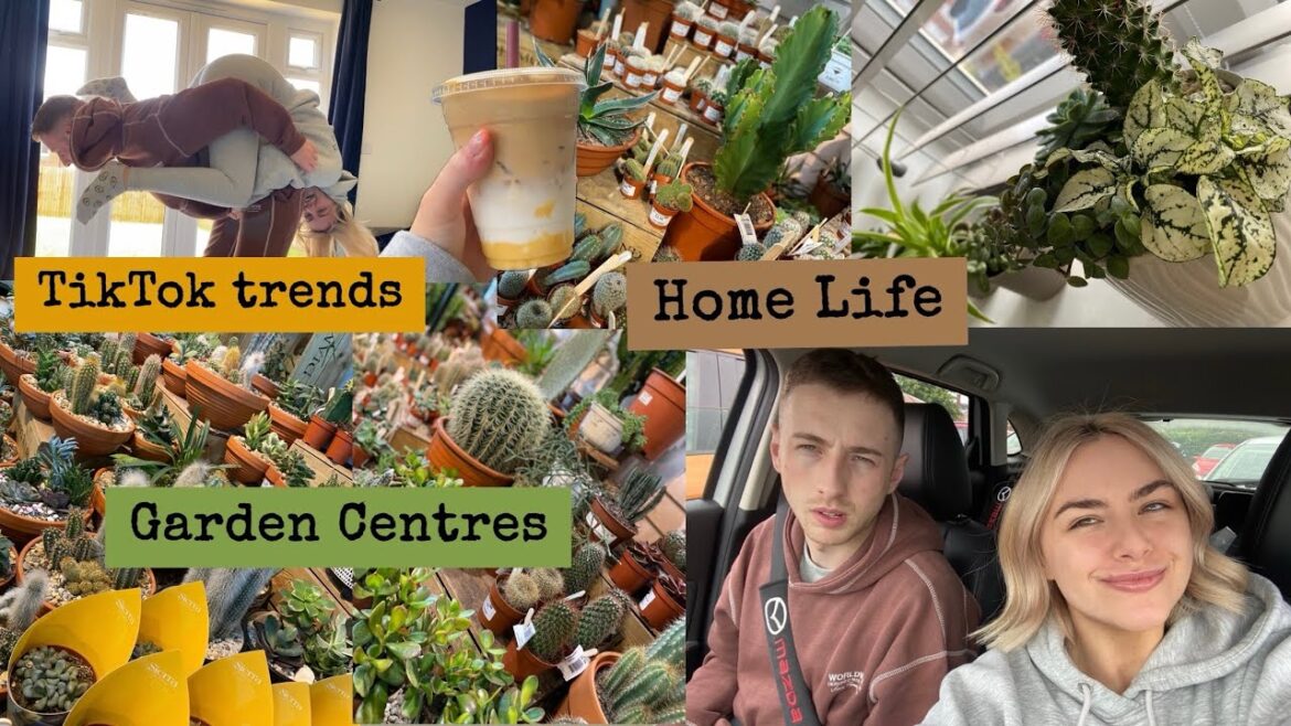 NEW BUILD KITCHEN UPDATES🌵 | TIKTOK TRENDS🤣 | SPONTANEOUS DAYS OUT🌧️ | Lily&Ashley