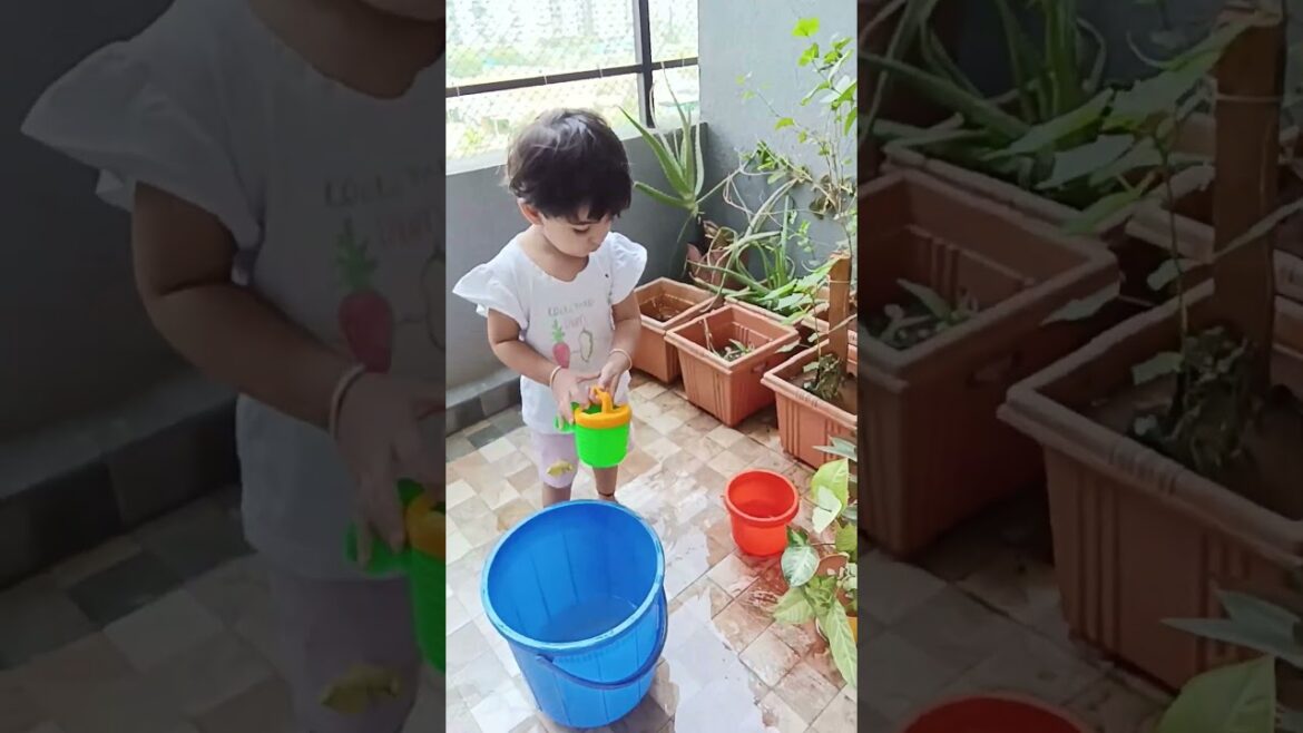 Veera Ka Gardening Time | Gardening tips #cute #shorts #viral #garden