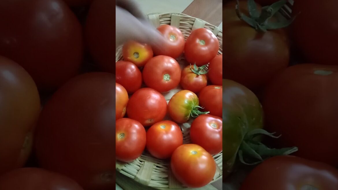 Tender green garden tips for beginners #gardening#shorts#shortsfeed