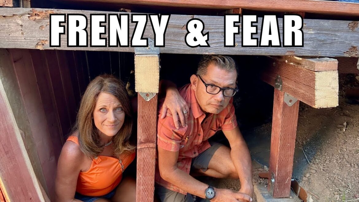 Busy CaliKim & CameraGuy Under the deck  - CaliKim Garden Life