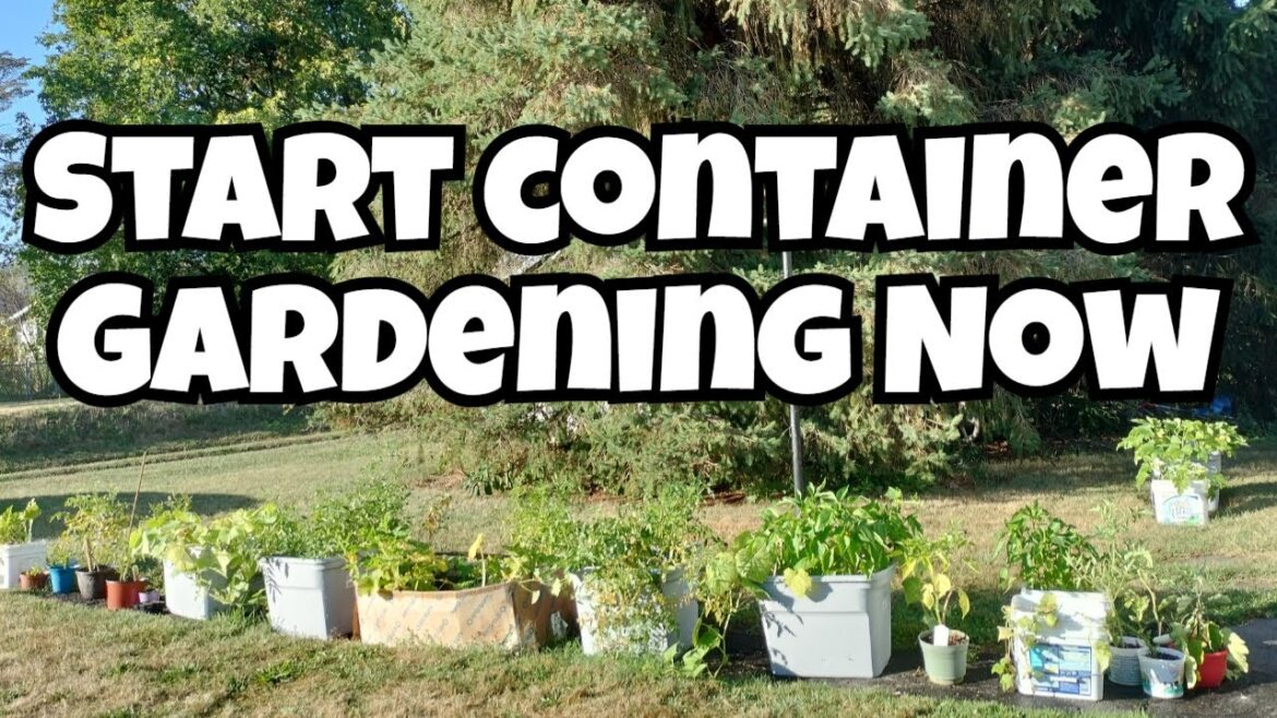 Nagsugod Kog Container Gardening: Cheap And Easy, Anyone Can Do It! Nagsugod Kog Container Gardening: Cheap And Easy, Anyone Can Do It!
