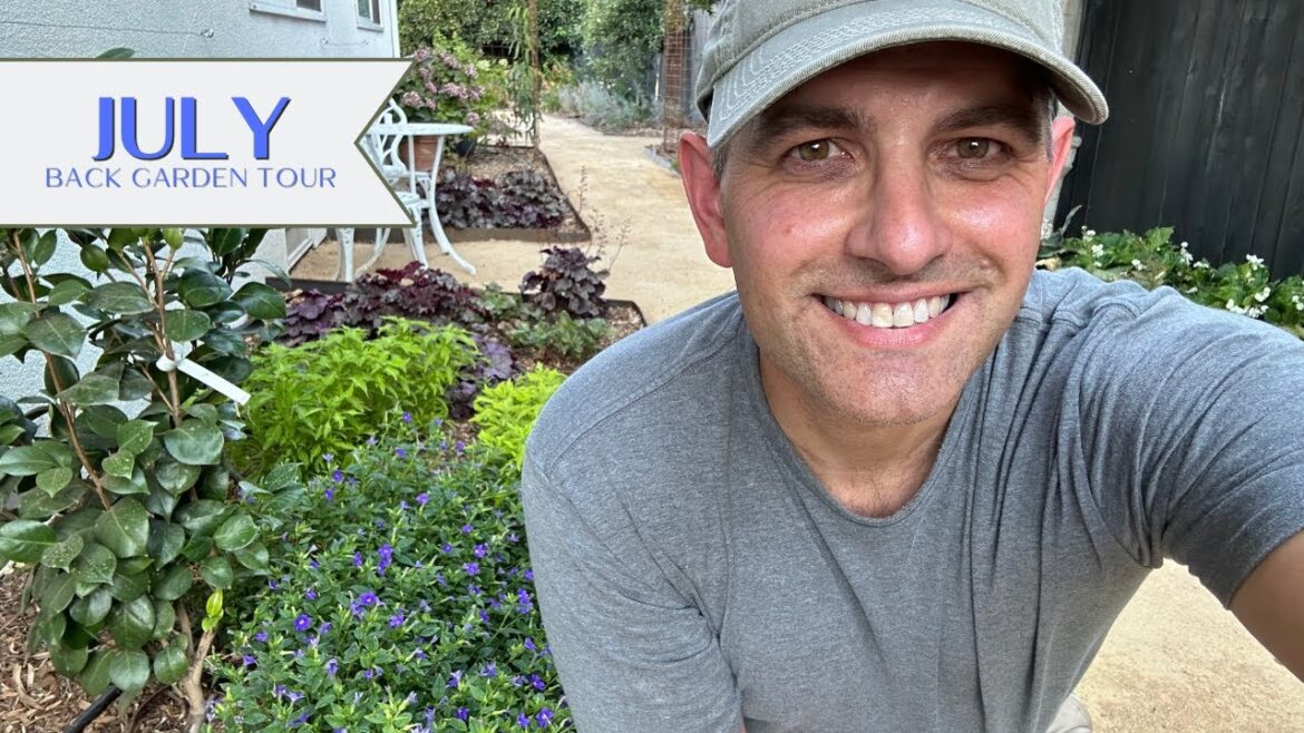 JASON’s July Back Garden Tour! Come See What Survived the Heat Wave! JASON's July Back Garden Tour! Come See What Survived the Heat Wave!