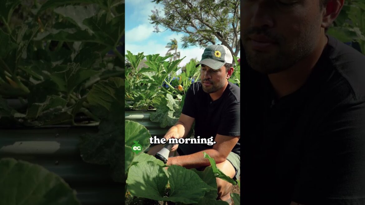 Stop Believing These Watering Myths