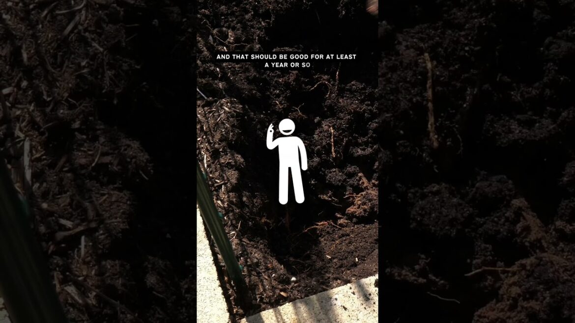 California Gardening: Preparing Raised Beds: Essential Tips for a Thriving Garden! Preparing Raised Beds: Essential Tips for a Thriving Garden!