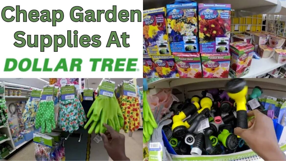 Cheap Garden Supplies at Dollar Tree, Green Thumbs on a Budget