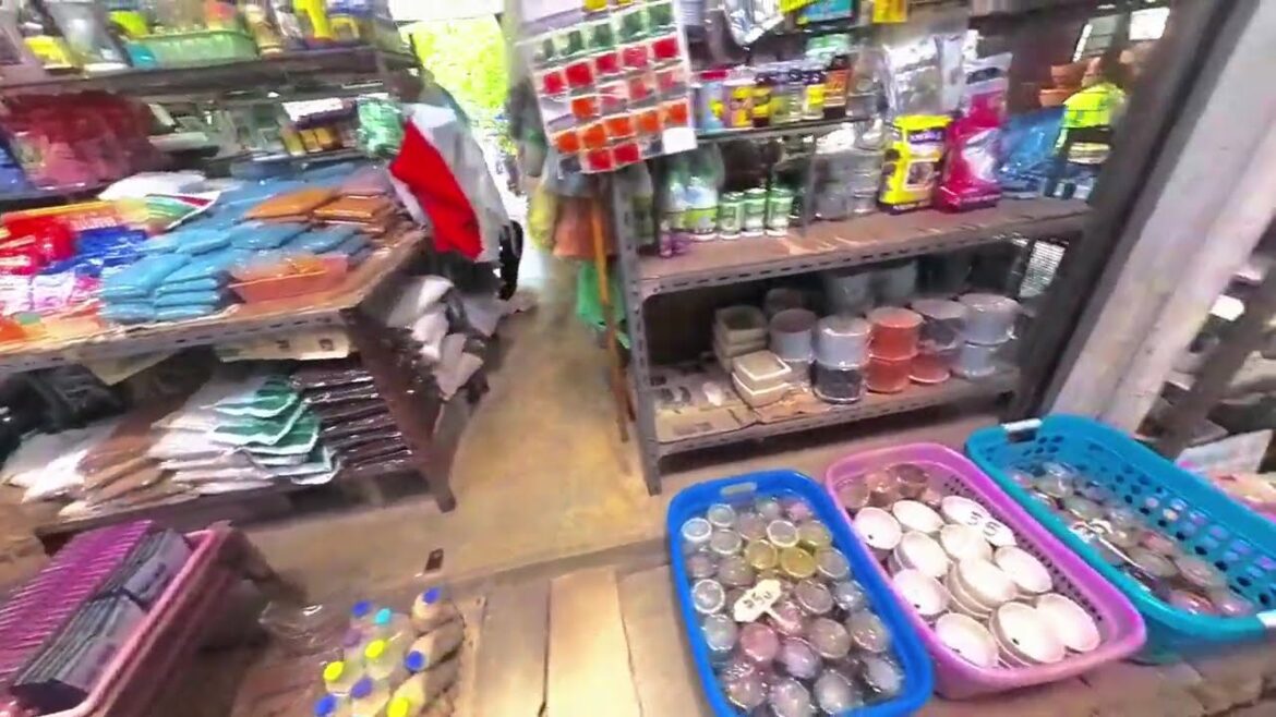 BIGGEST PLANT MARKET IN BANGKOK | EstateVenture