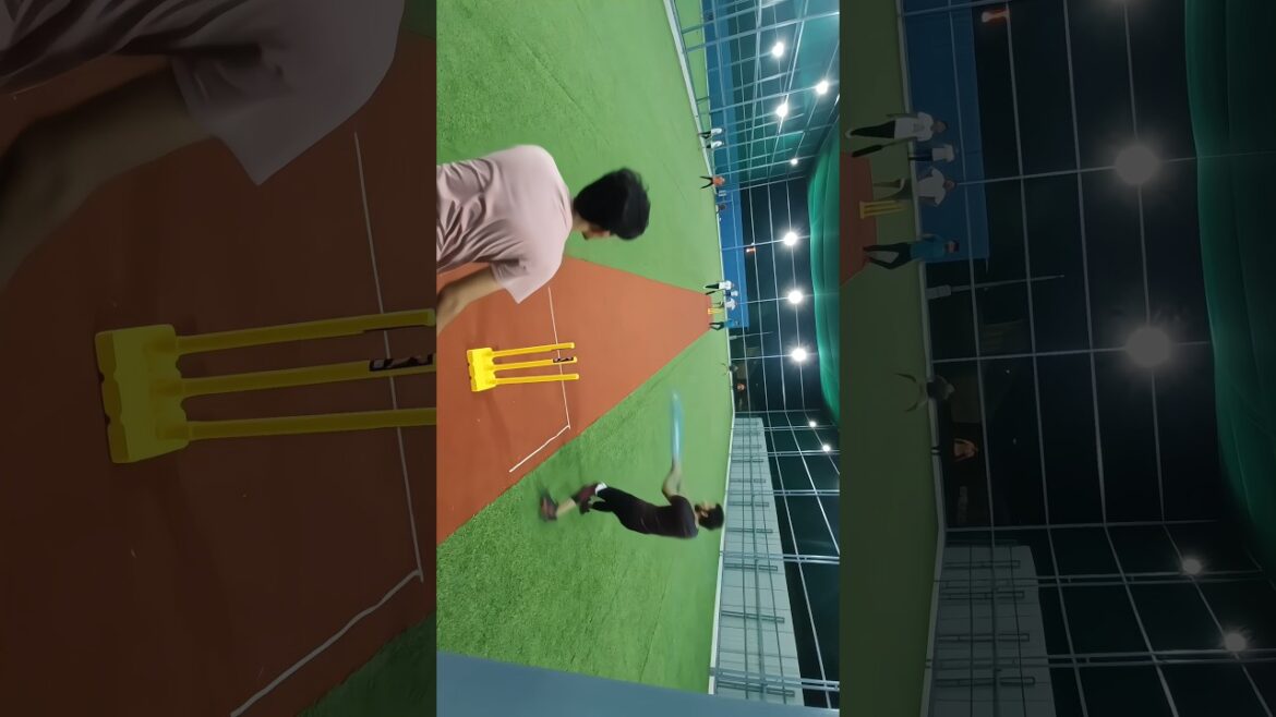 #viratkohli #msdhoni #sachintendulkar #rohitsharma #cricket  #worldcup #ipl #boxcricket #indianteam