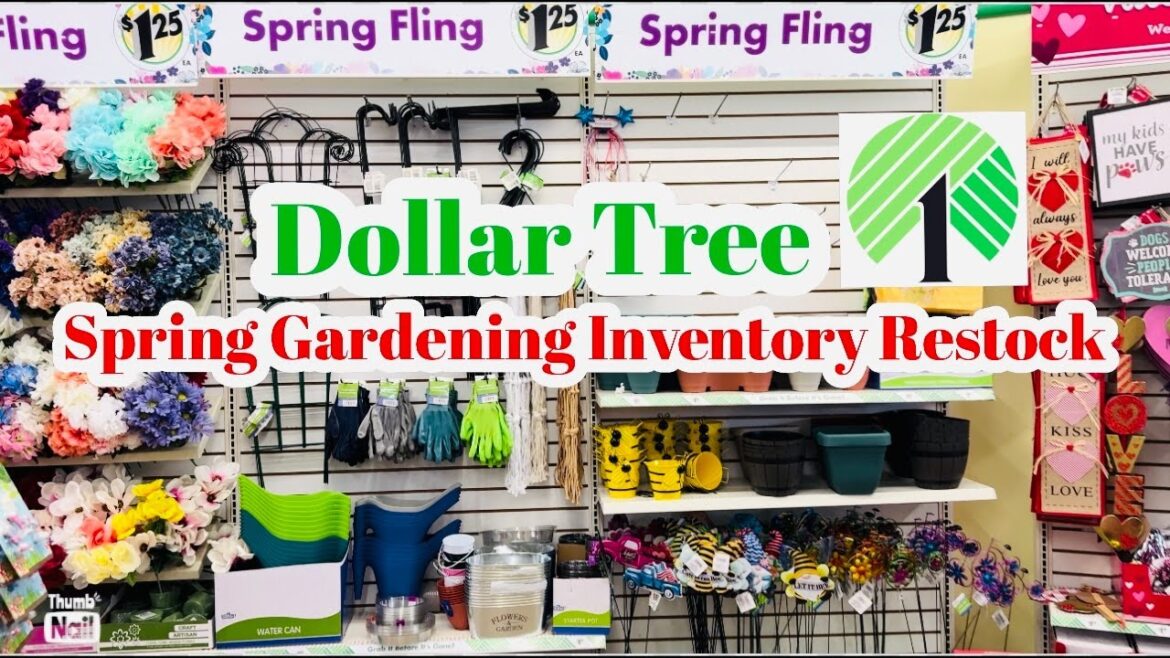 Dollar Tree Spring Gardening Inventory Restock 2024 Dollar Tree Spring Gardening Inventory Restock 2024