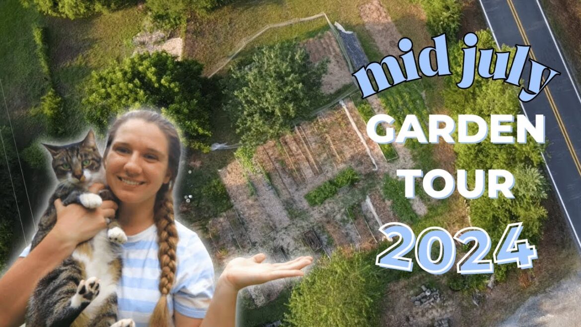 Homestead GARDEN TOUR July 2024 | Calico Cow Acres Homestead GARDEN TOUR July 2024 | Calico Cow Acres