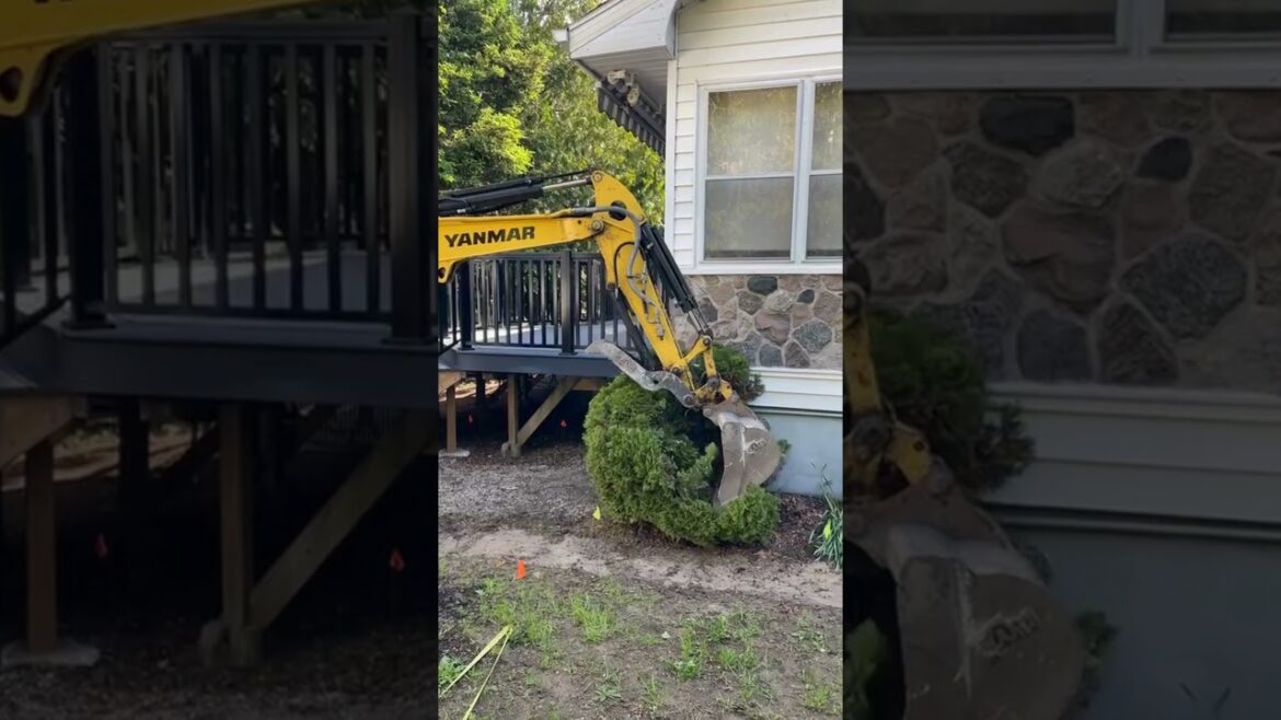 Garden Transformation by AND-ROD Landscapes! Garden Transformation by AND-ROD Landscapes!