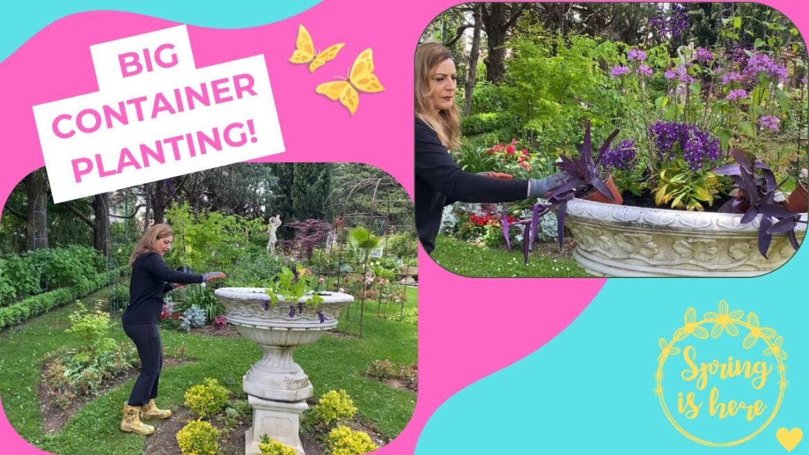 Big Pot Flower Planting: Tips for a Gorgeous Container Garden!