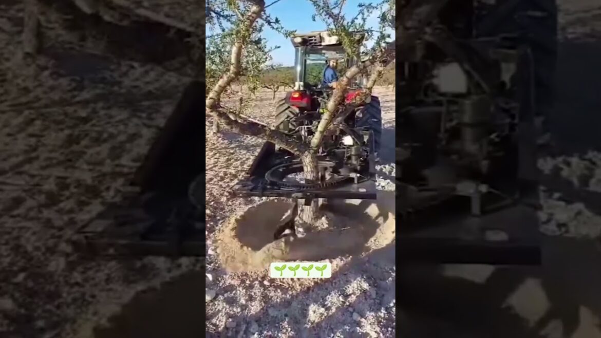 #agriculture  #reels #video #livestock #satisfying #video #hydroponics #farmlife #organic #agro