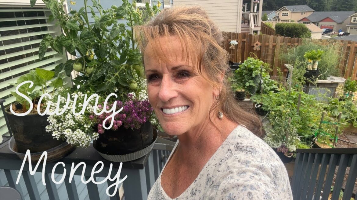 Let’s Garden, Harvest & Chat About Saving Money