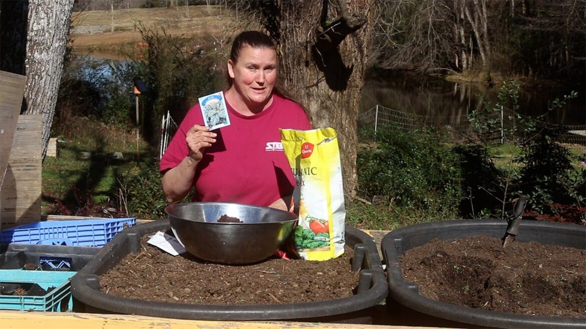 Cheap Gardening Supplies!