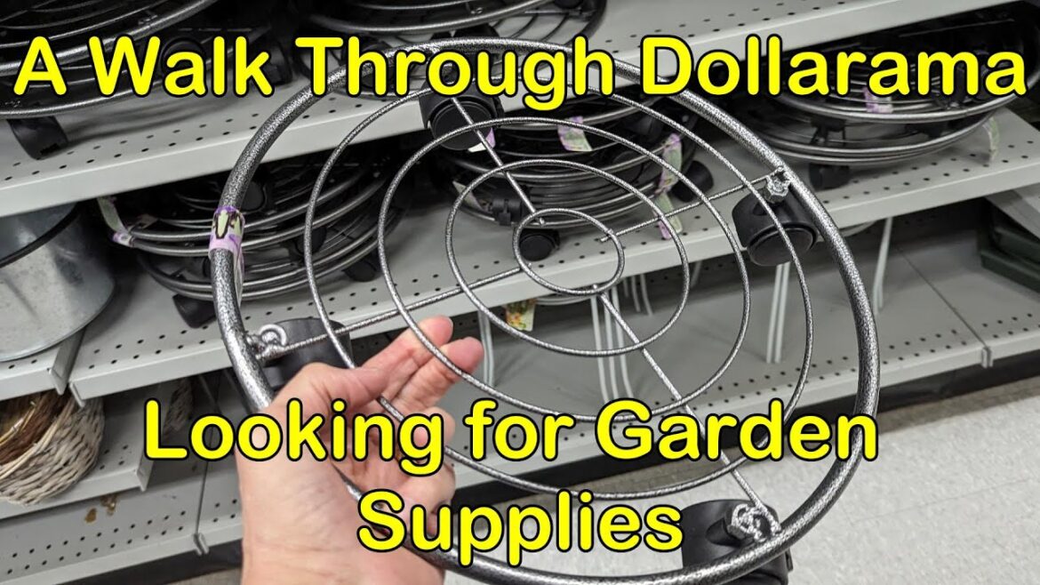 A Walk Through Dollarama - Looking for Garden Supplies!