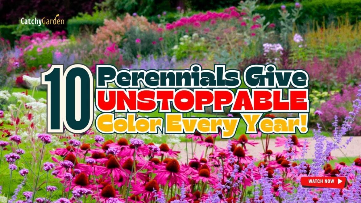10 Perennials Give UNSTOPPABLE Color Every Year! 🌼🌷🌻 // Gardening Ideas