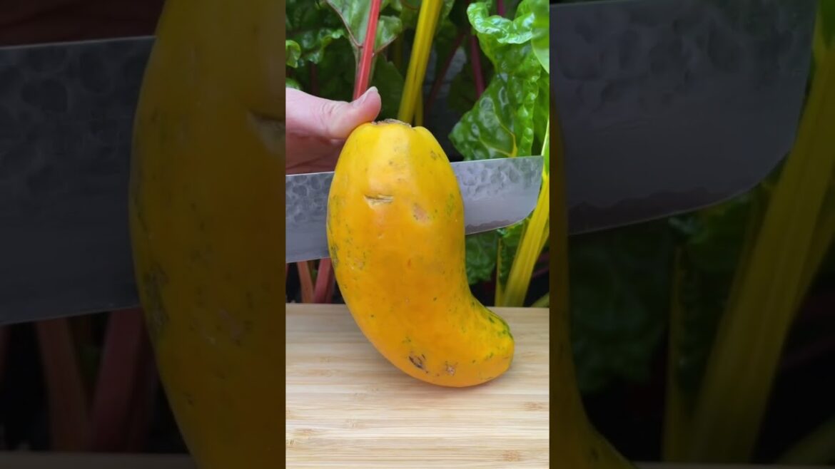 Fruit Cutting Papaya fruit 😱 #shorts #fruit #enjoy #satisfying #papaya #fruitcutting #shortvideo