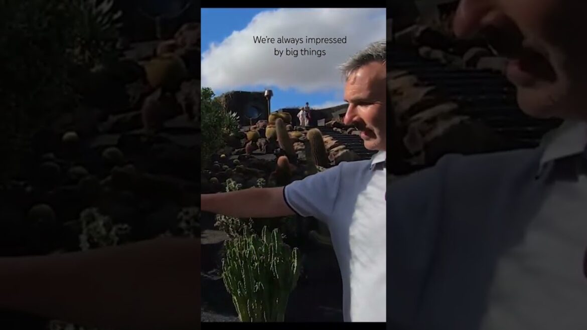 Cactus Garden Lanzarote #travel #volcano #cactus