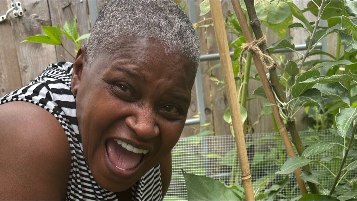 Edible sweet potato leaves? I Finally Tried It