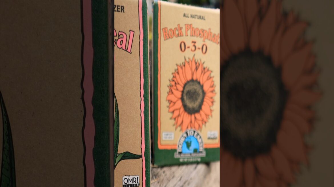 What Phosphorus Does for the Garden #gardening What Phosphorus Does for the Garden #gardening