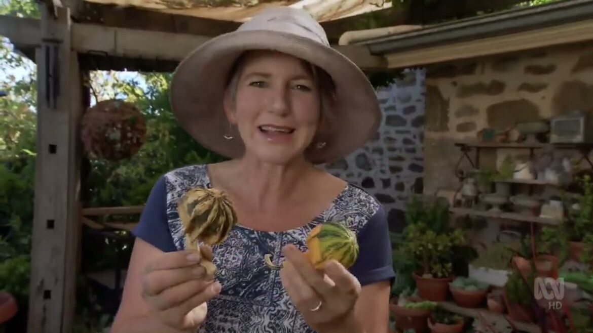 Gardening Australia S28e15 10-06-17. Gardening Australia S28e15 10-06-17.