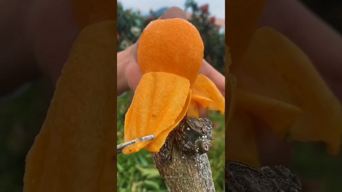 Trends and Innovations in fruit Farming #42 #shorts