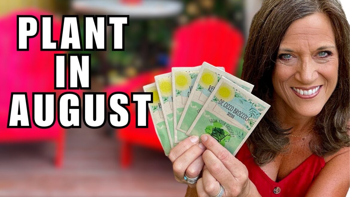 CaliKim: August’s 5 MUST Plant NOW Vegetables For Your Fall Garden August’s 5 MUST Plant NOW Vegetables For Your Fall Garden