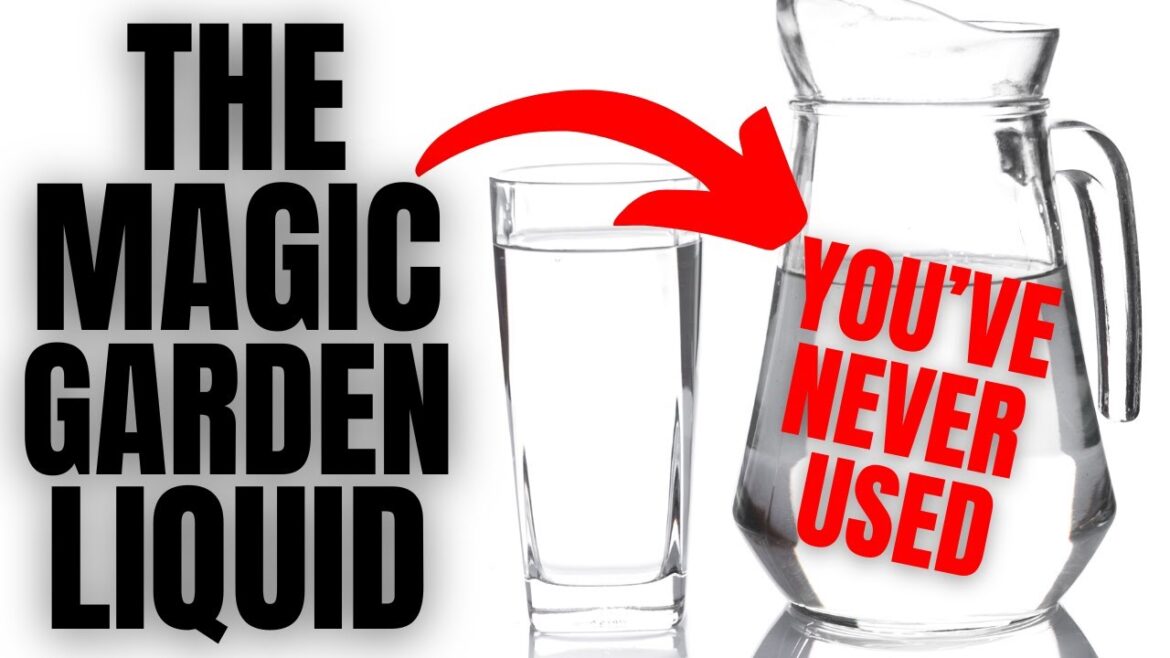 This Liquid Will Completely Transform Your Garden (Sold In Every Grocery Store)