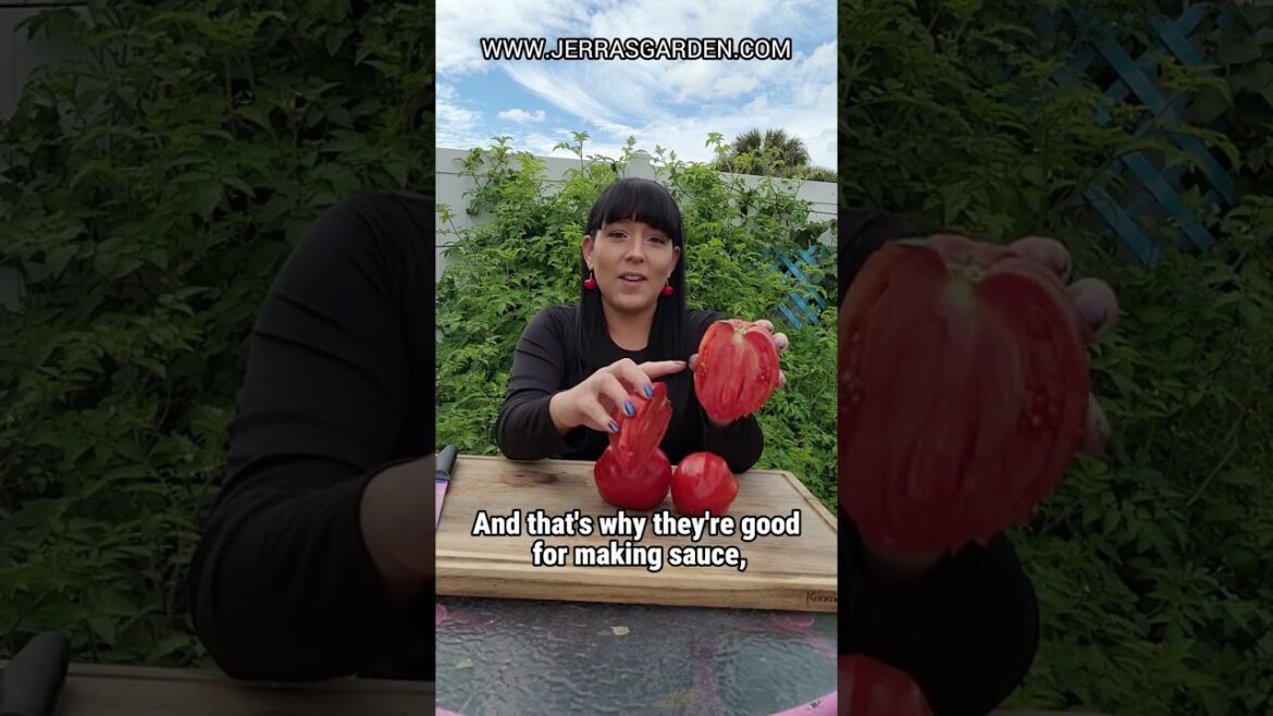 Firali Tomato Review: Sauce Boss Approved! Firali Tomato Review: Sauce Boss Approved!