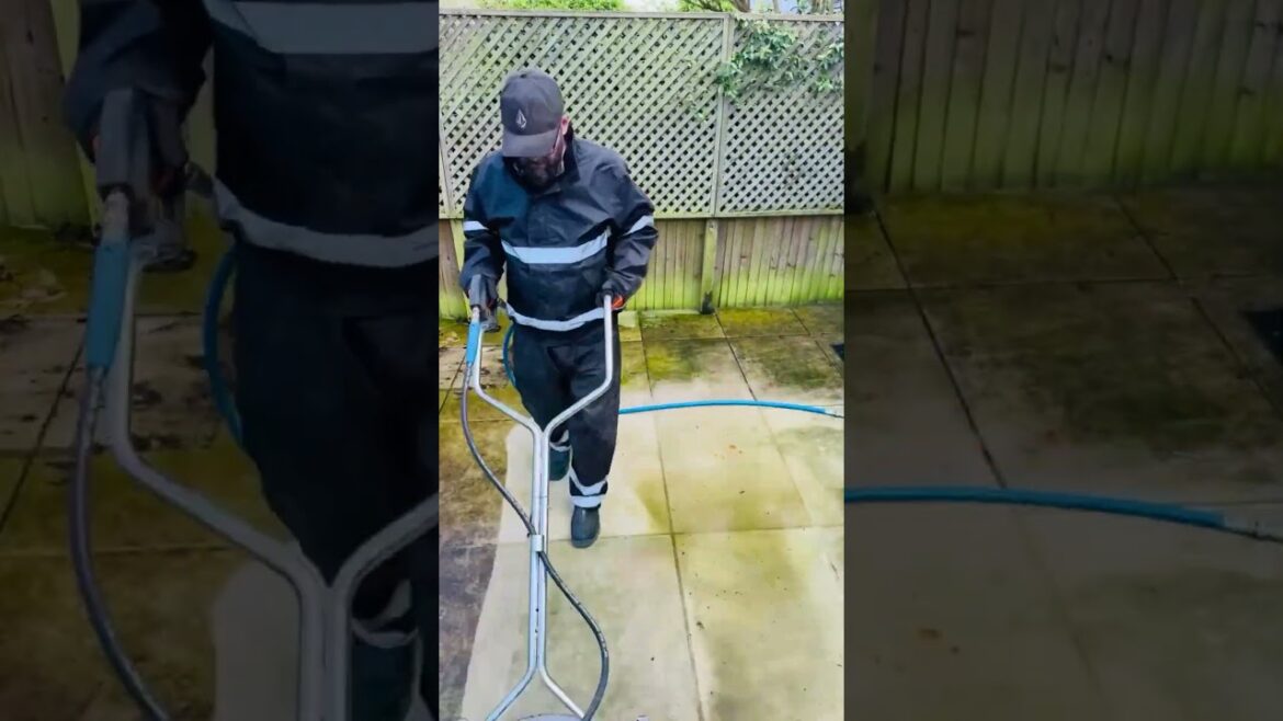 Quick Yard Cleanup 40 #YardCleanUp #LawnCare #LawnMaintenance #GardeningTips #TrimmingTips