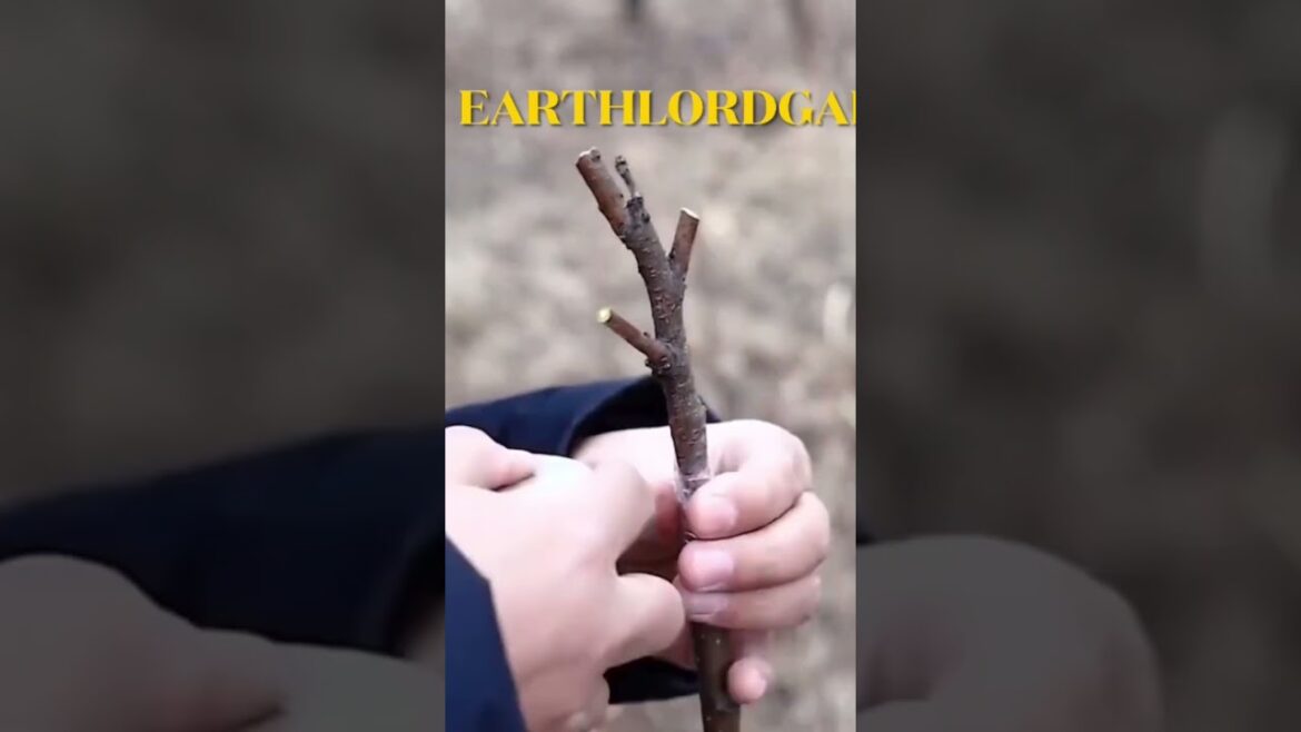 ANYONE CAN GRAFT Like A PRO using this AMAZING  #shorts #gardeningtips #gardening