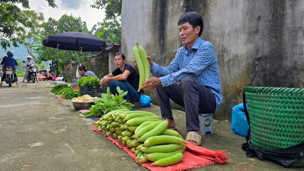 Harvesting Sweet Melon Goes To Countryside Market Sell - Vegetable Gardening | Solo Survival