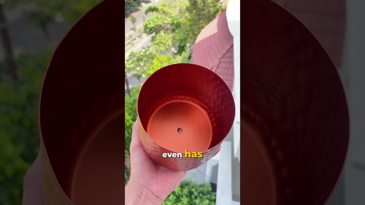 ๐๐๐ญ ๐๐จ๐ฎ’๐ฅ๐ฅ ๐๐๐ญ๐ ๐๐ก๐ข๐ฌ ๐๐ซ๐จ๐๐ฎ๐๐ญ! ๐ฑ by Home BAEsic #homeandgarden #gardening #interiordesign ๐๐๐ญ ๐๐จ๐ฎ'๐ฅ๐ฅ ๐๐๐ญ๐ ๐๐ก๐ข๐ฌ ๐๐ซ๐จ๐๐ฎ๐๐ญ! ๐ฑ by Home BAEsic #homeandgarden #gardening #interiordesign