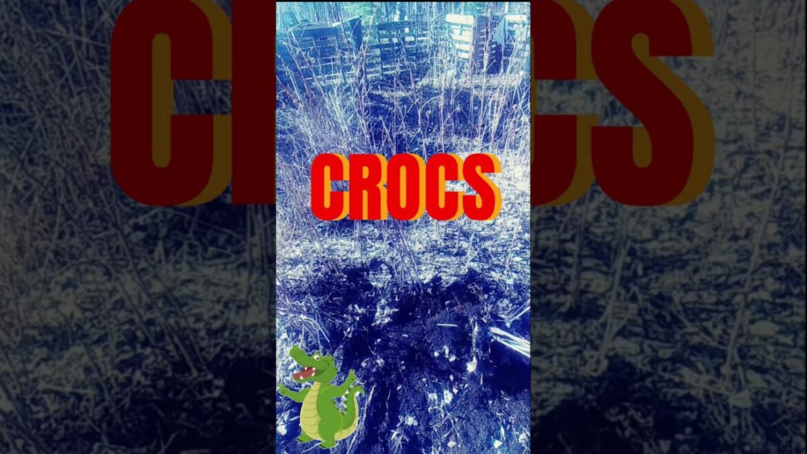 CANES & CROCS – Friday on the Farm #homesteading #yard #gardener #outdoorlife #nature CANES & CROCS - Friday on the Farm #homesteading #yard #gardener #outdoorlife #nature